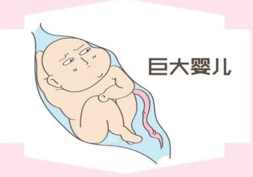 青岛正规助孕机构：一文解读什么是单柳叶形子宫，一种常见的子宫畸形