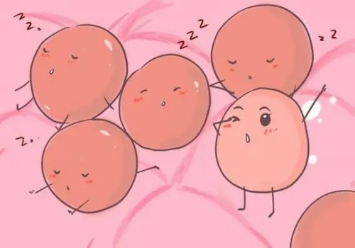 子宫肌瘤患者可以吃蜂蜜吗,子宫肌瘤患者吃蜂蜜要注意什么